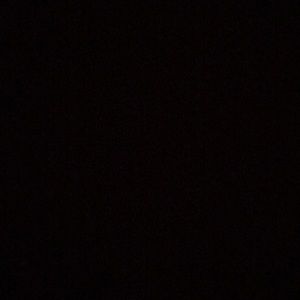 Meet your Posher, Ella